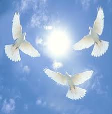 Exaltation of Doves